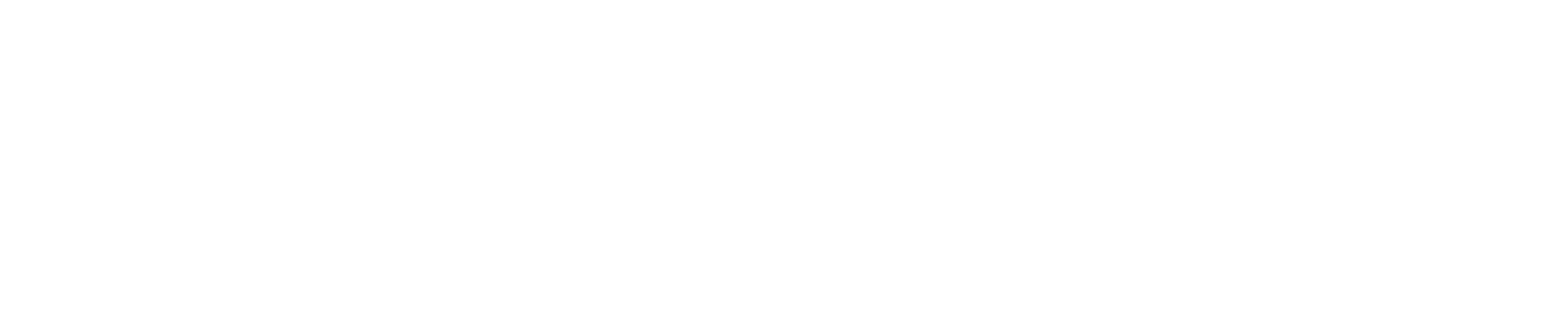 West Texas Mesonet Logo